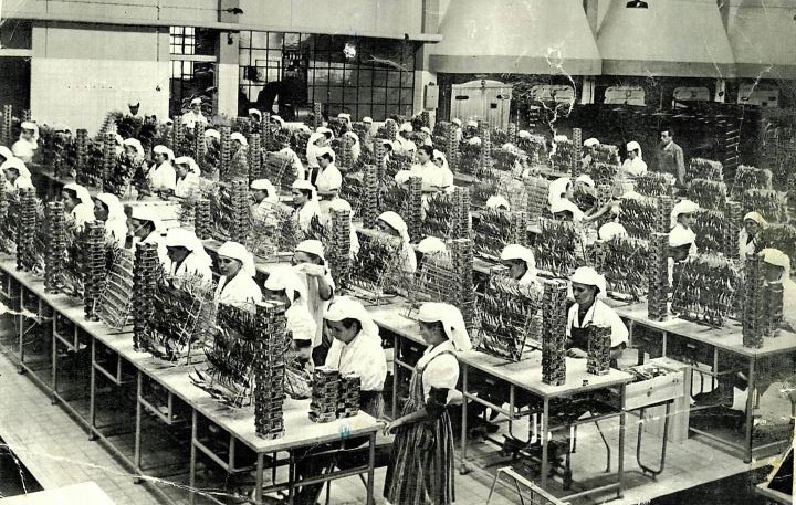 fábrica nuri sardinhas portuguesas